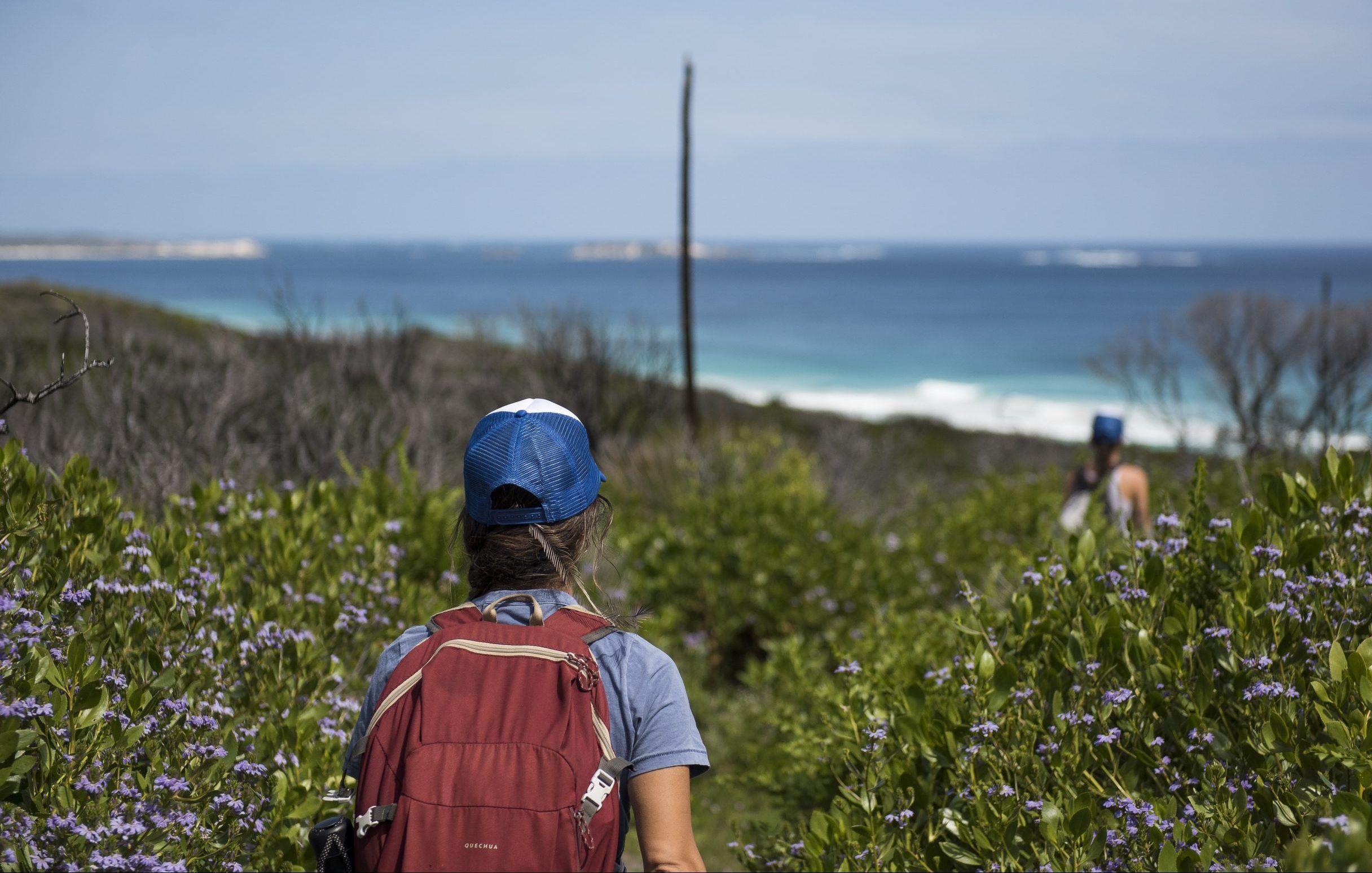 Cape2Camp