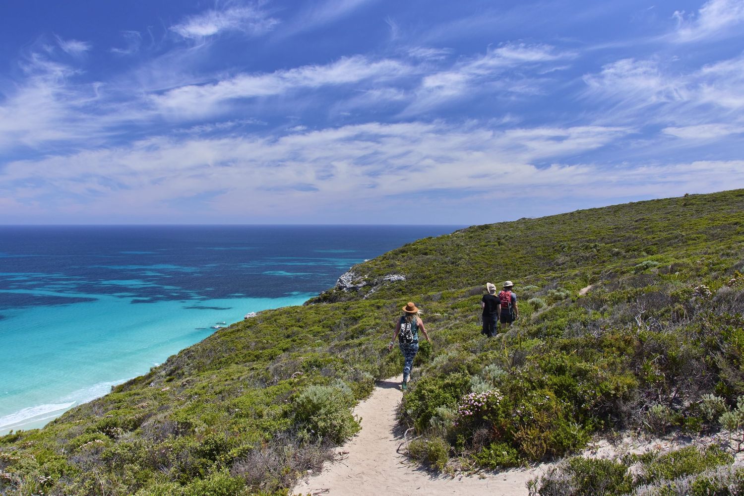 Cape to Cape Explorer Tours