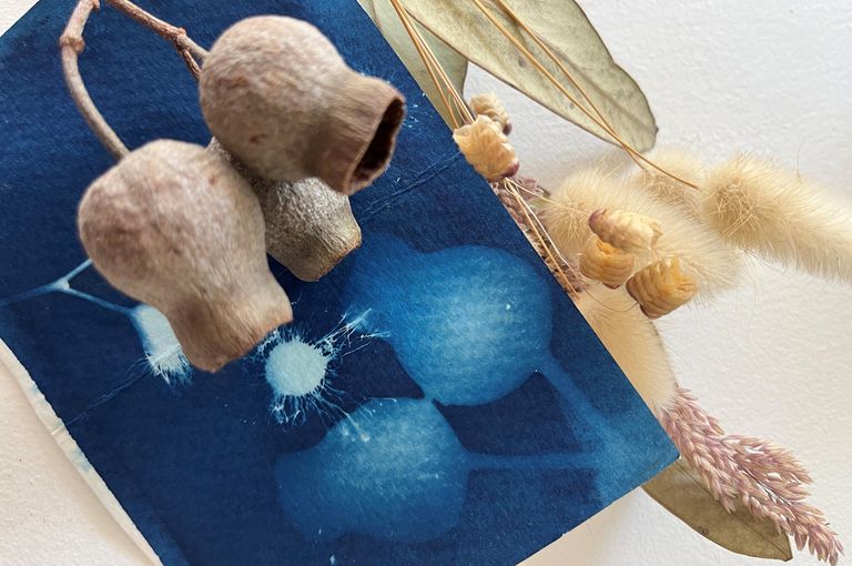 Cyanotype workshop