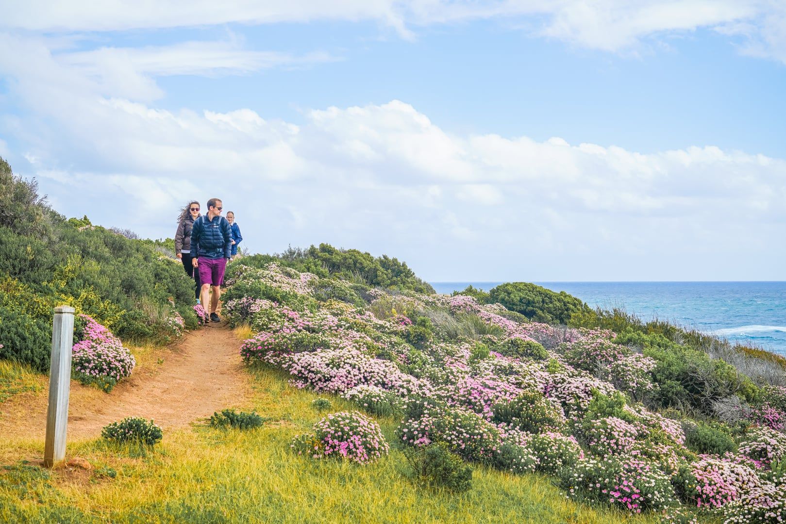 Margaret River Discovery Co