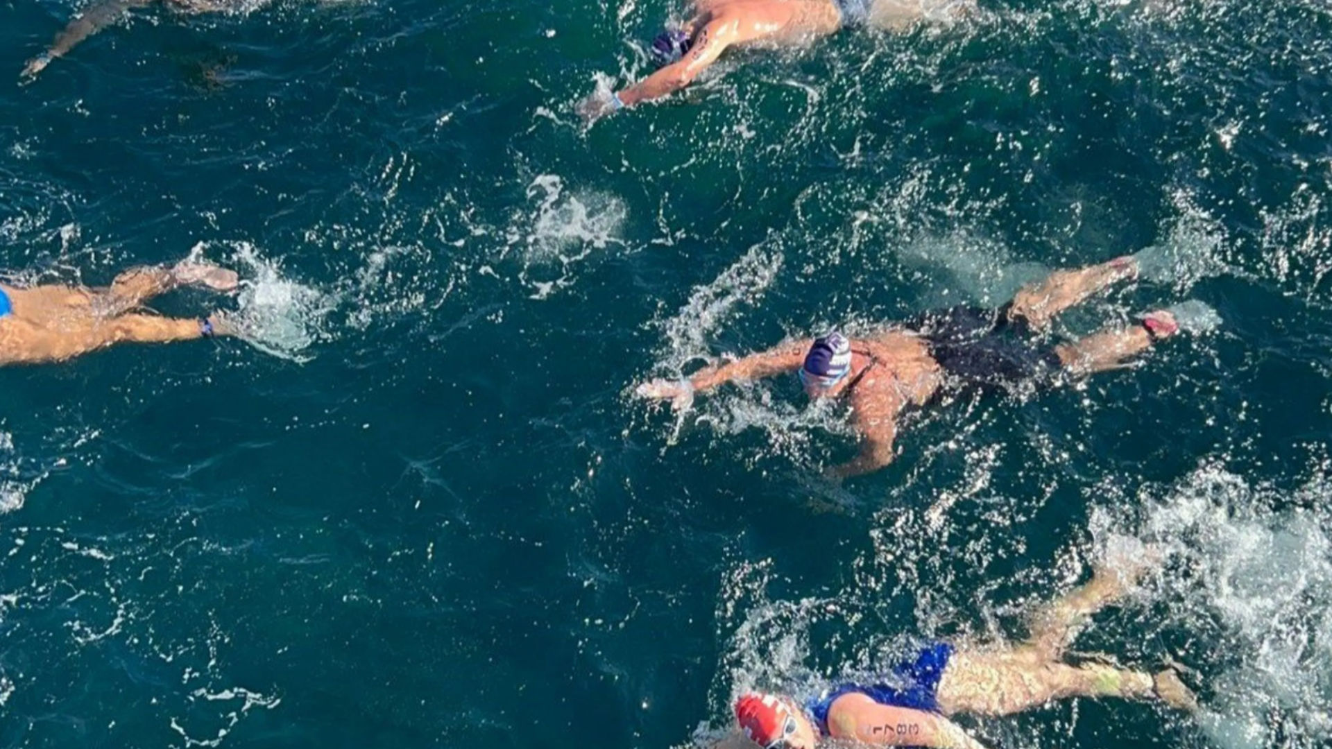 Swimmers