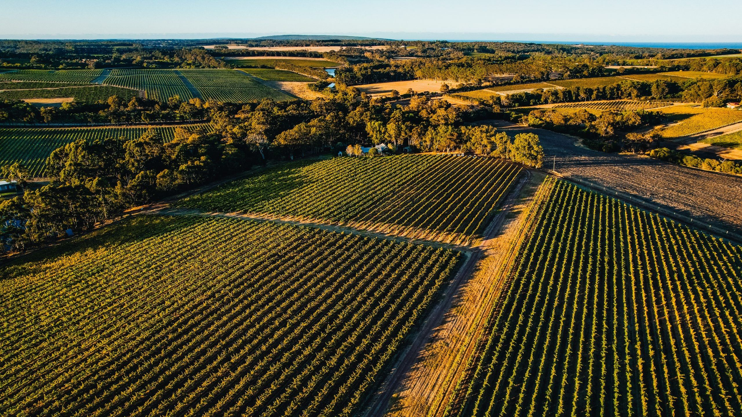 Fermoy Estate aerial view