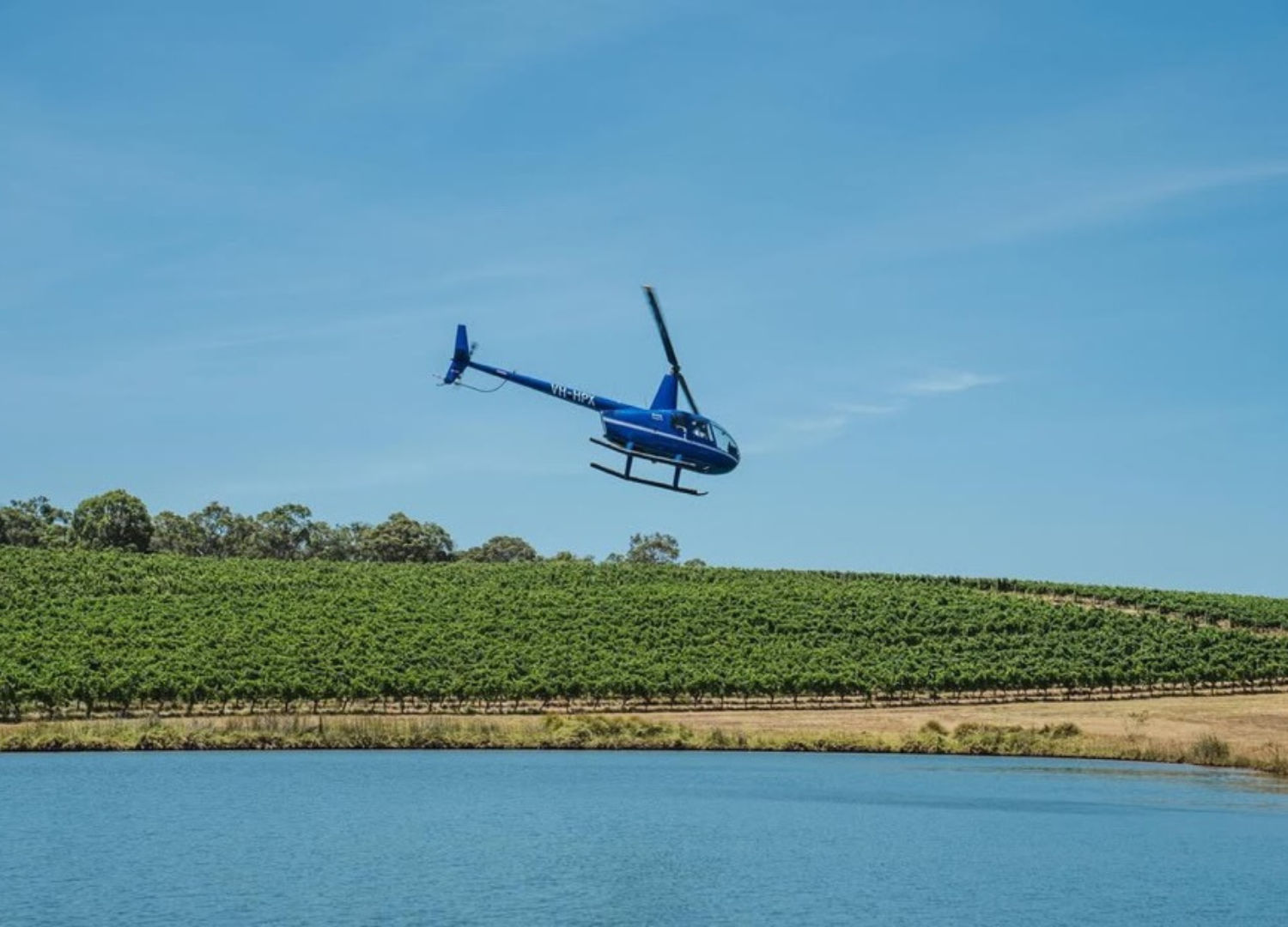 Scenic Helicopters at winery