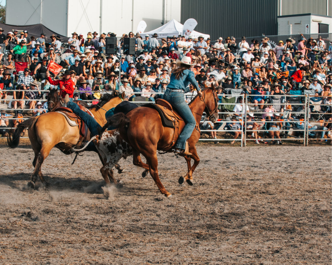 Beerfarm Rodeo