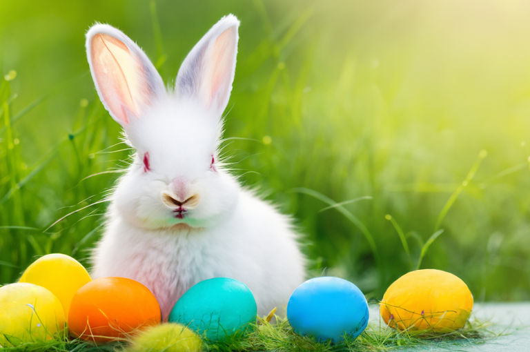 Easter Egg Hunt