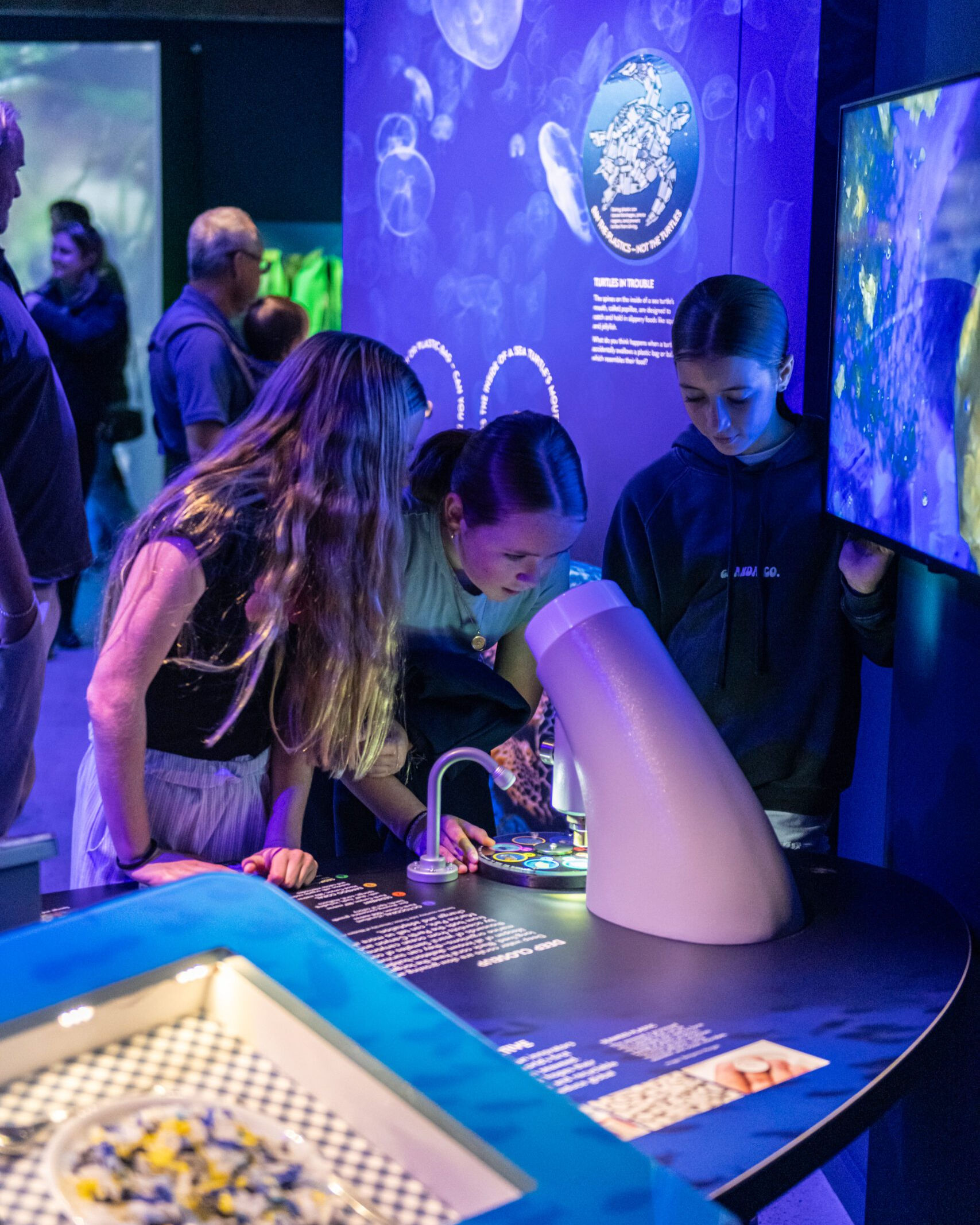Marine Discovery Centre Busselton Jetty