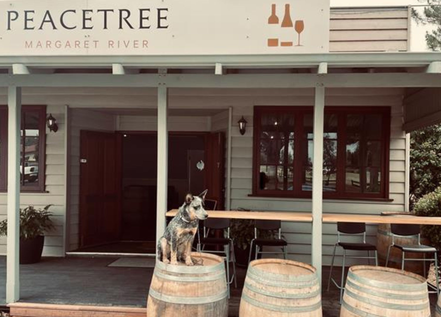 Peacetree cellar door Cowaramup