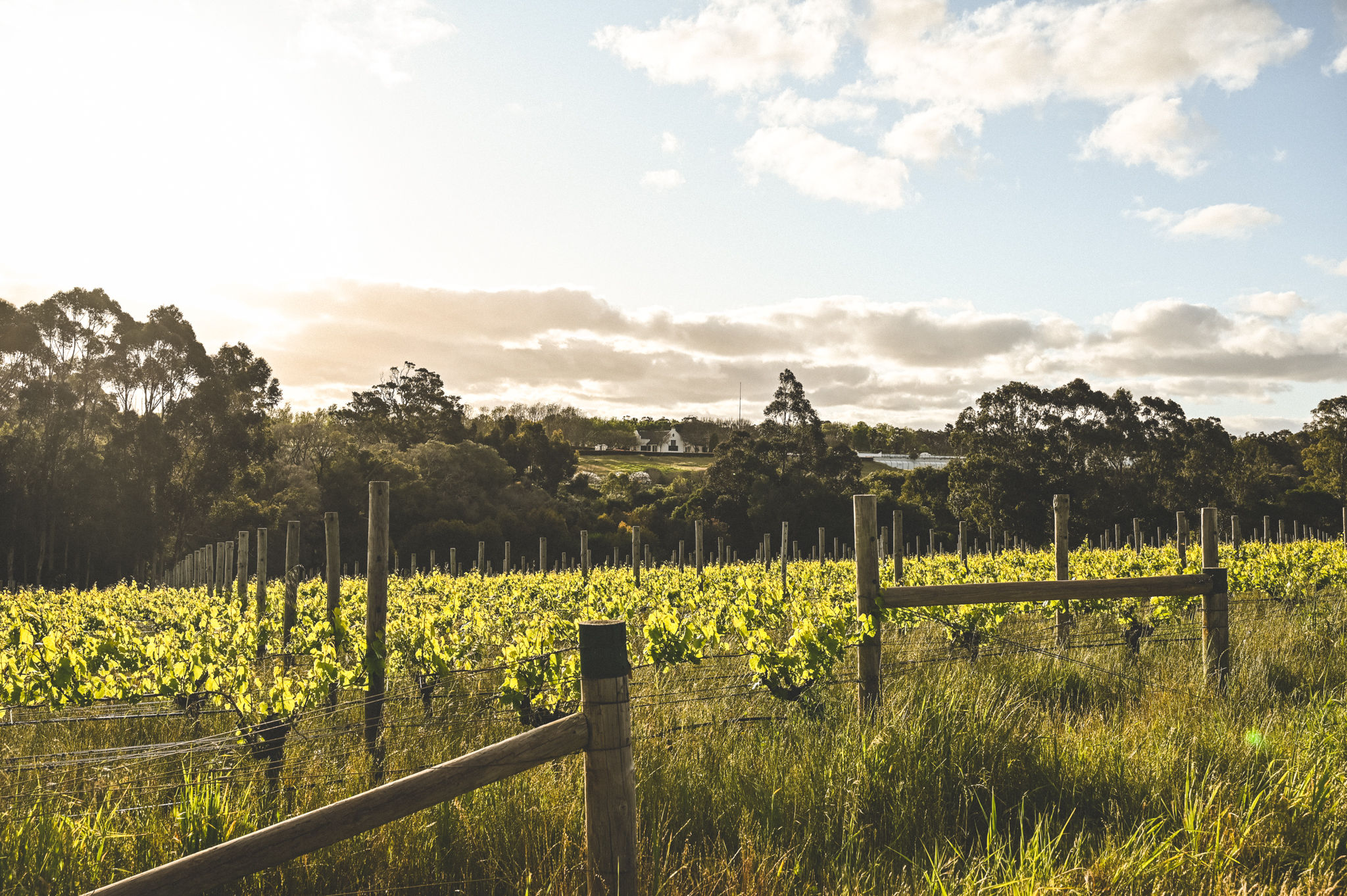 Voyager Estate