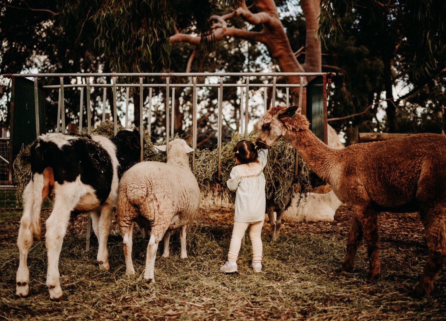 Margaret River Holiday Cottages