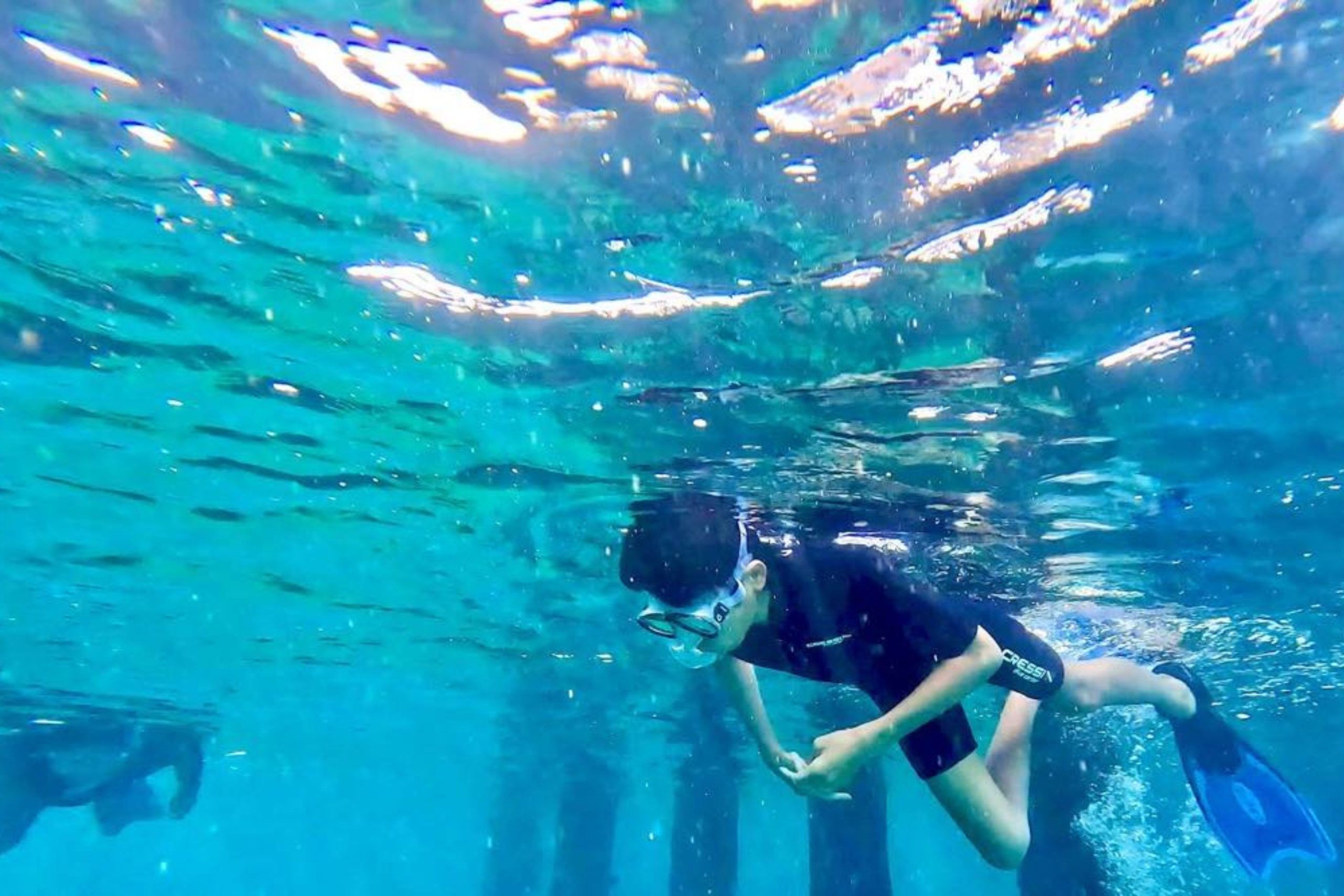 Swan Dive