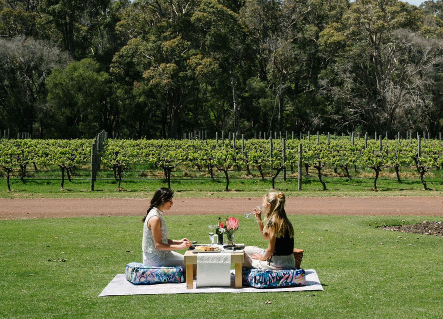 Ultimate Picnic - Clairault Streicker Wines, Wilyabrup