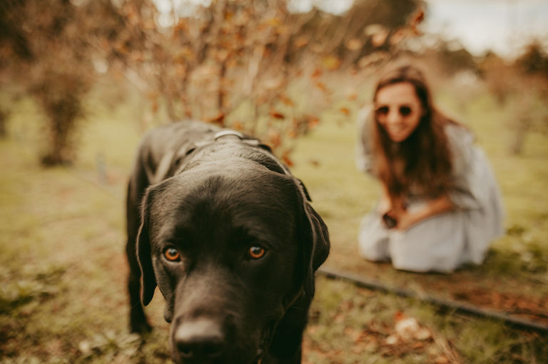 MR Truffle