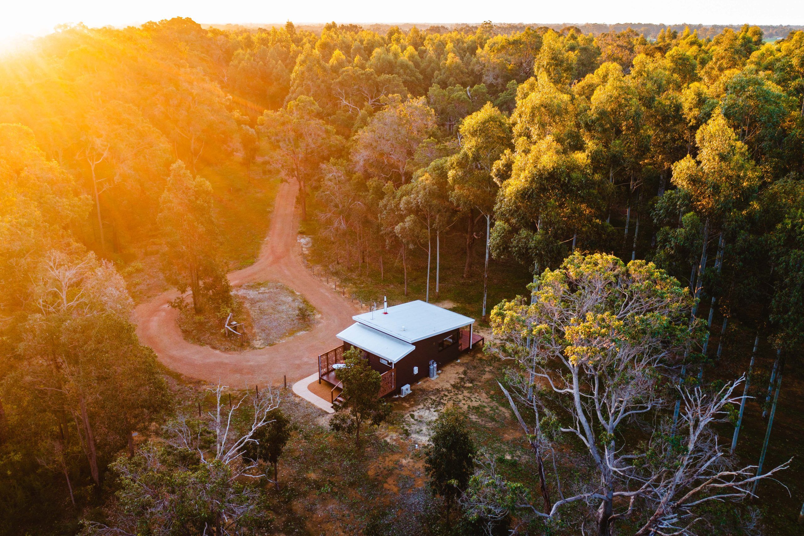 Tree Chalets Drone Shot