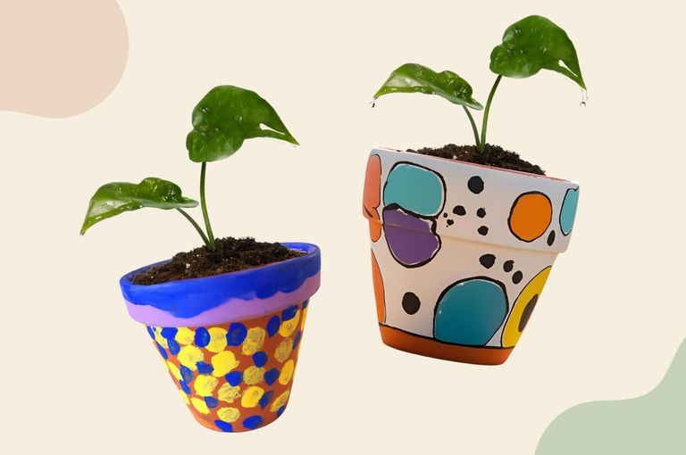 Paint & Plant Pots