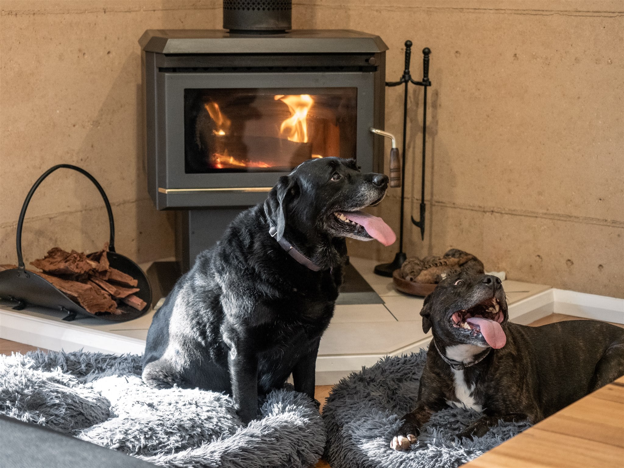 Jarrah Grove Forest Retreat dogs