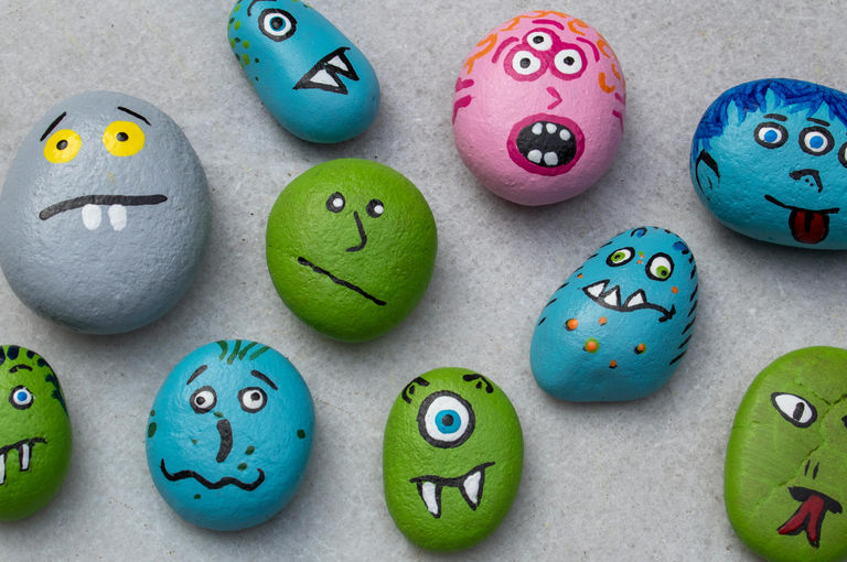 pet rock