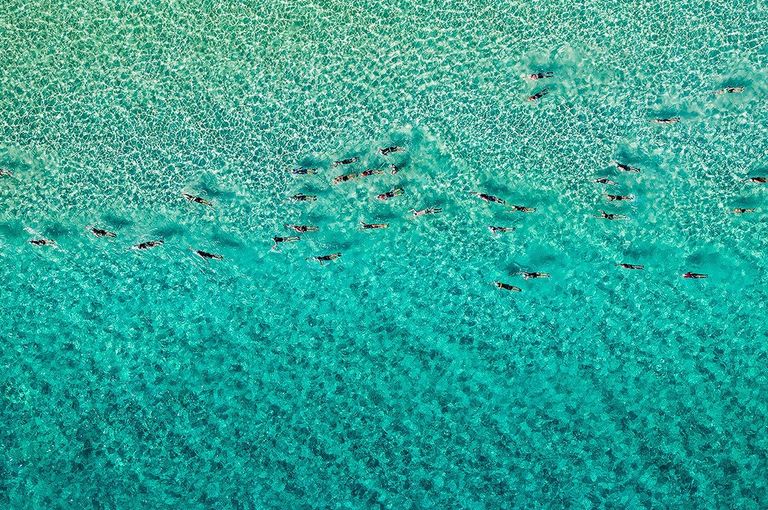 Turquoise Highway swimmers