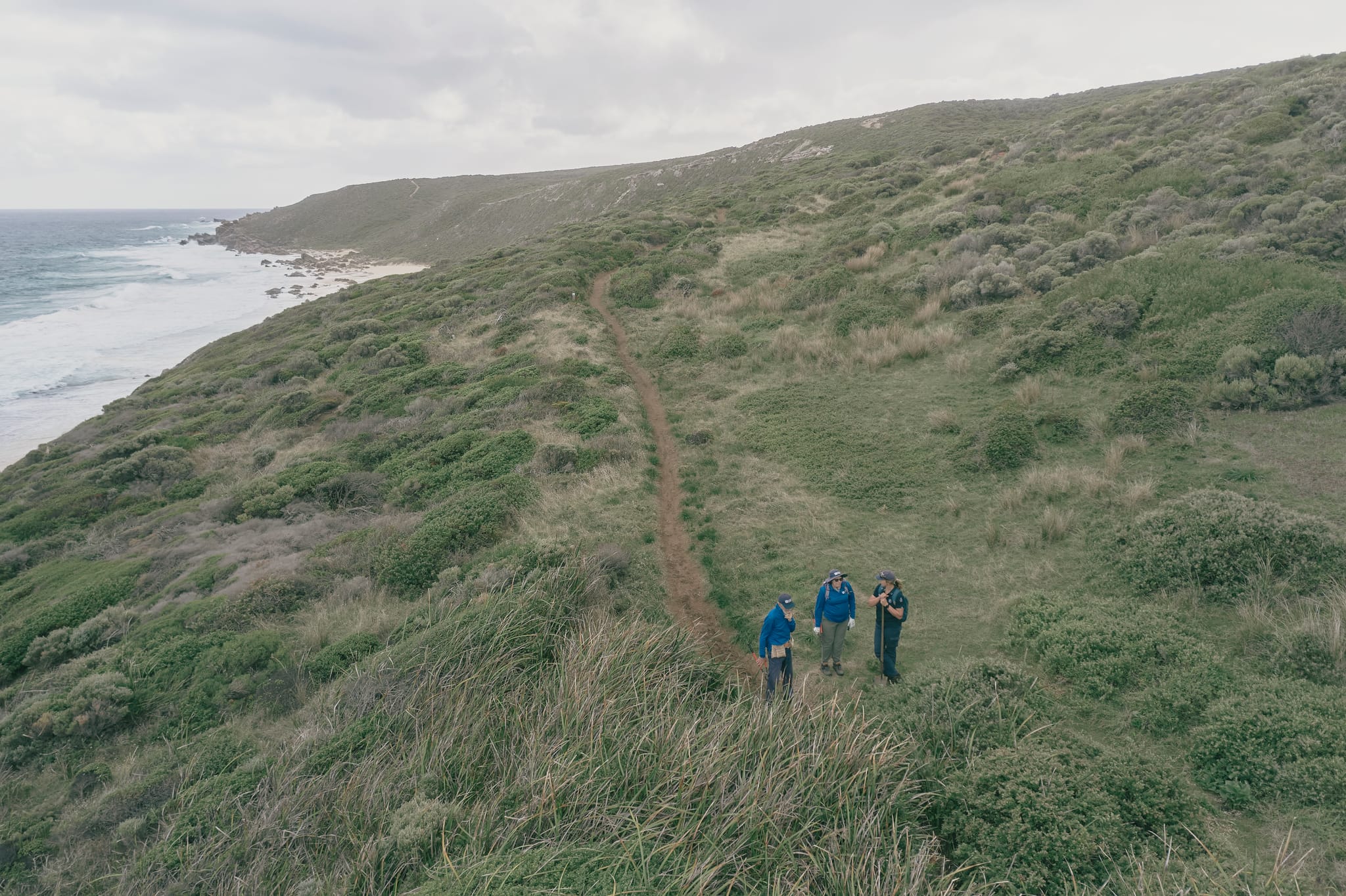 Cape to Cape Track