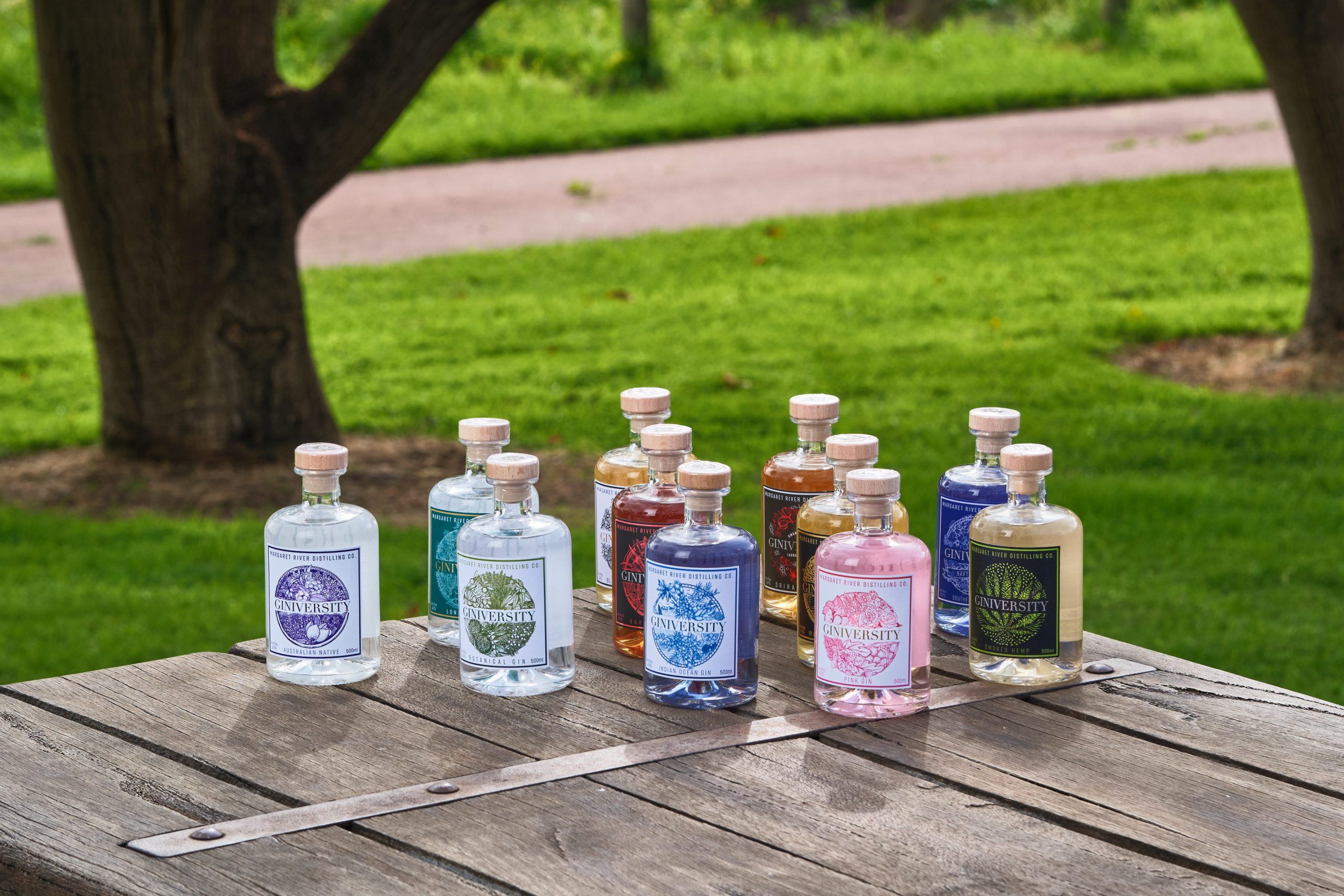 Ginversity