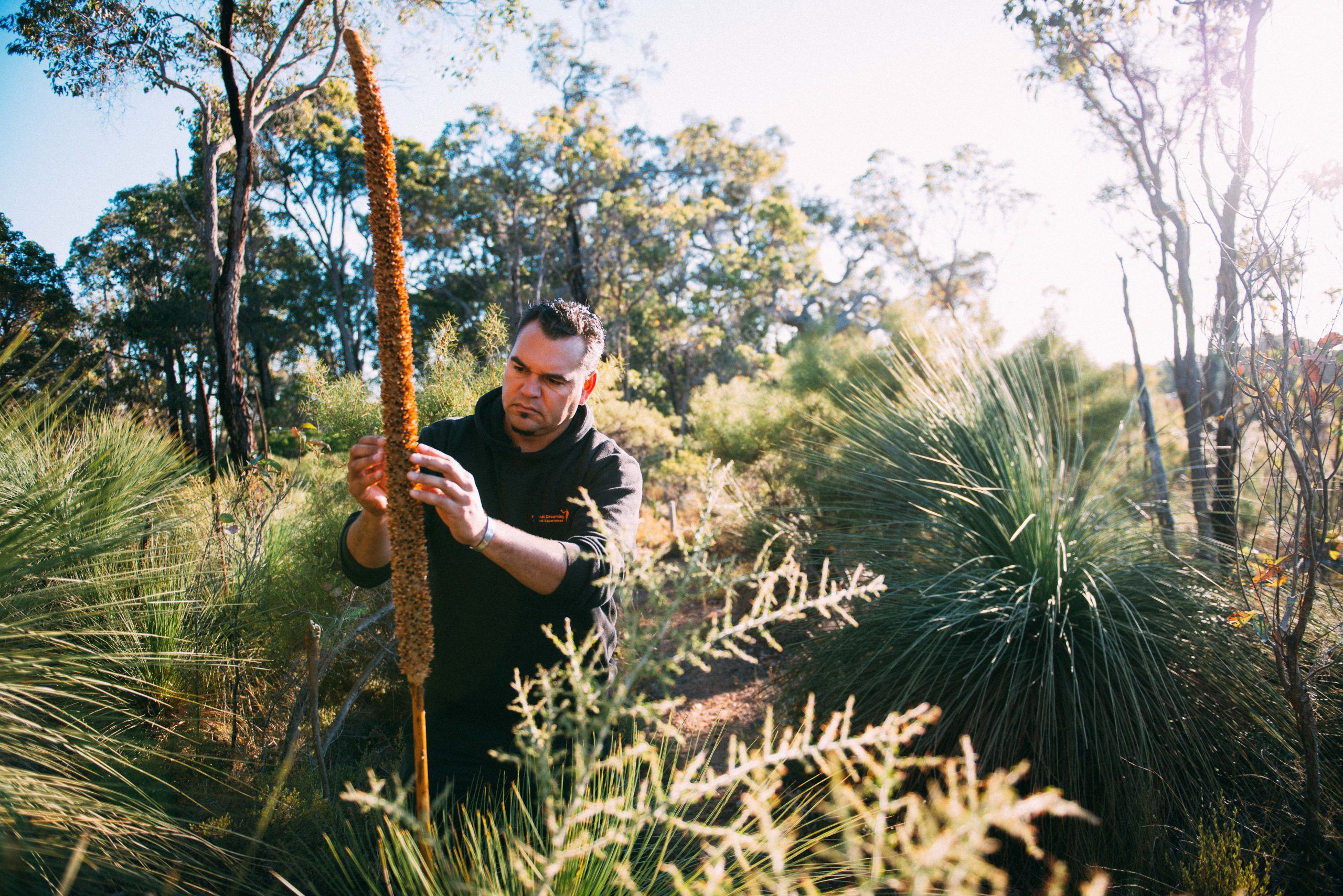 Picture of Josh Whiteland in the bush
