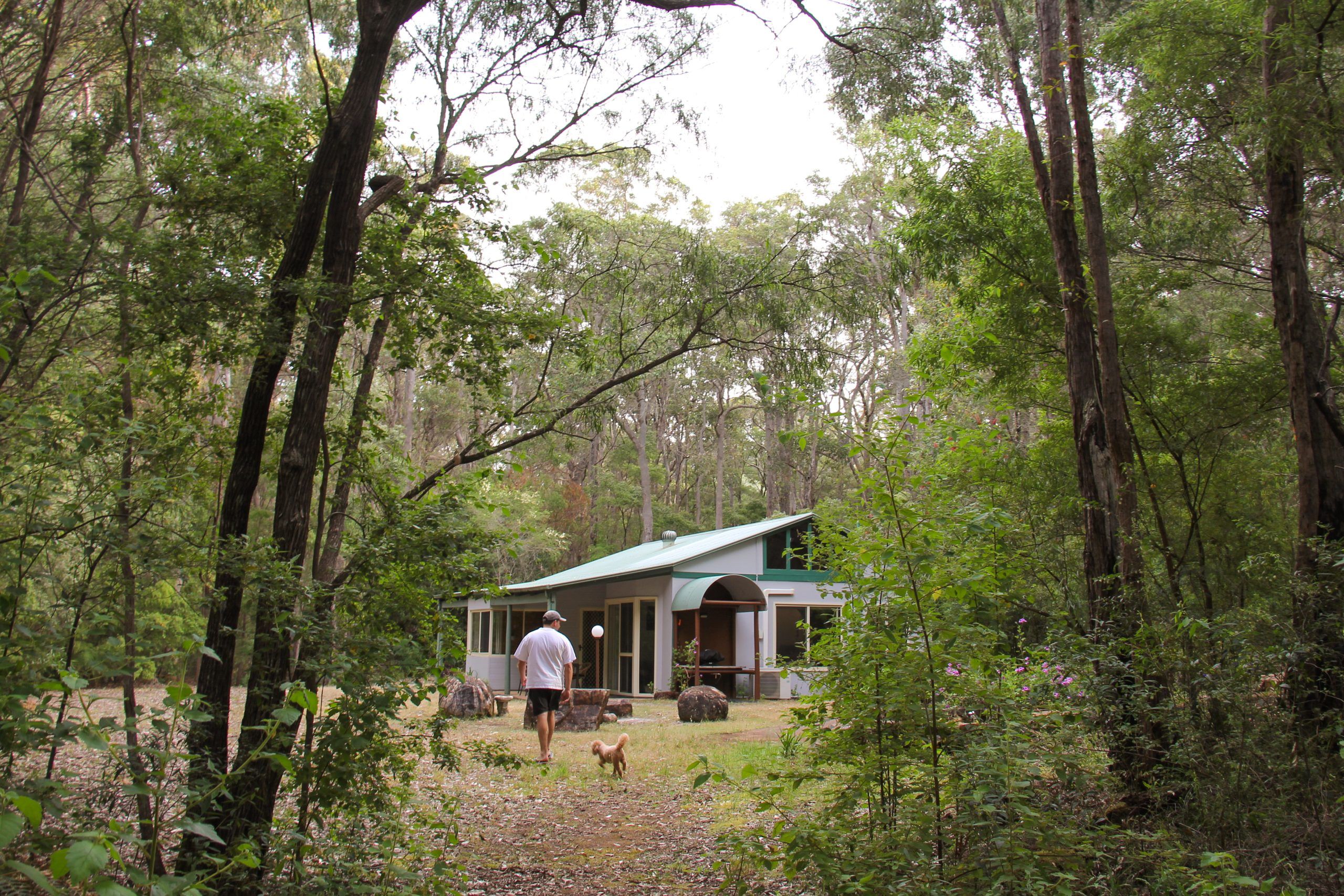 Harmony Forest