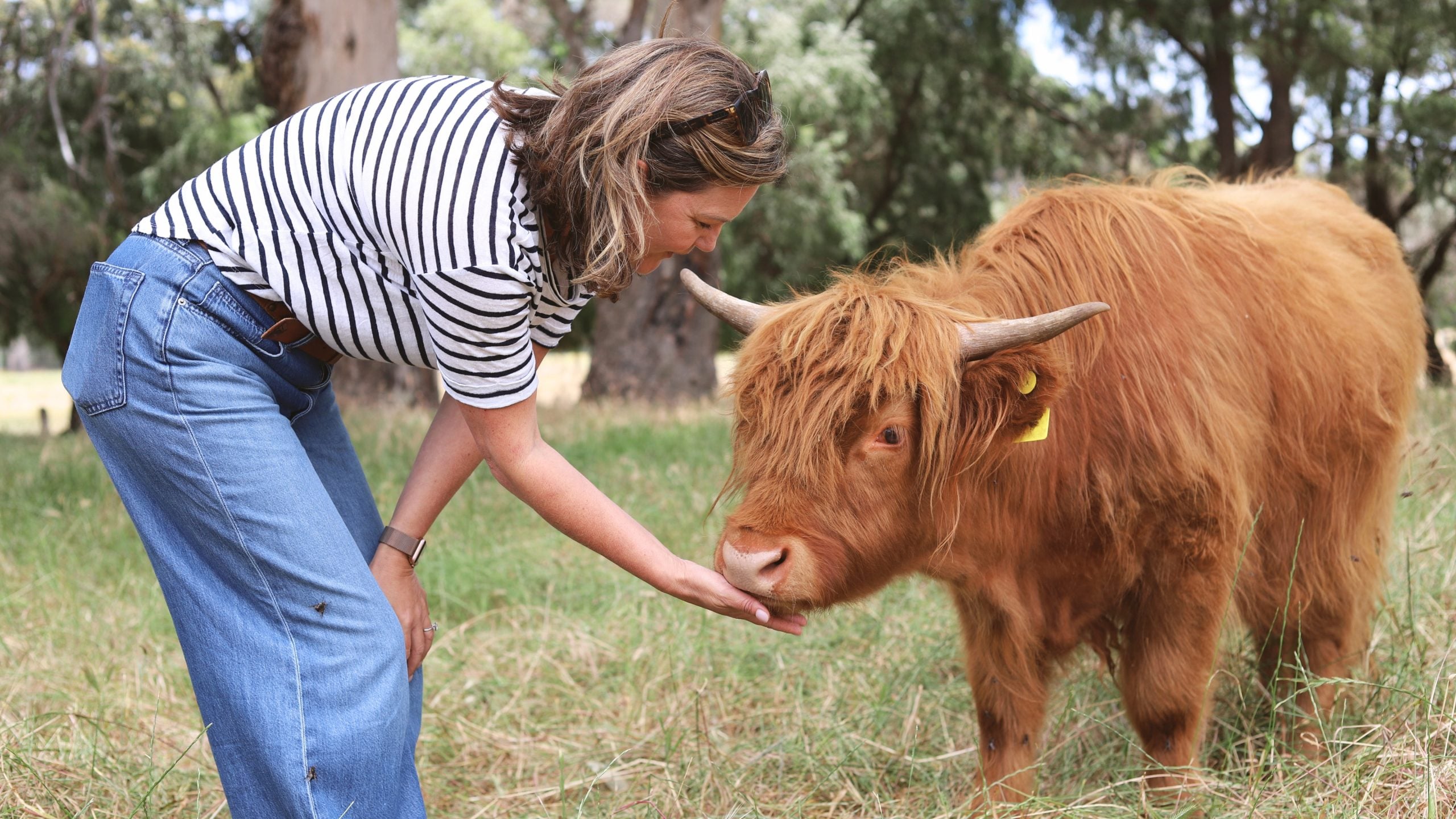 Caves Farm