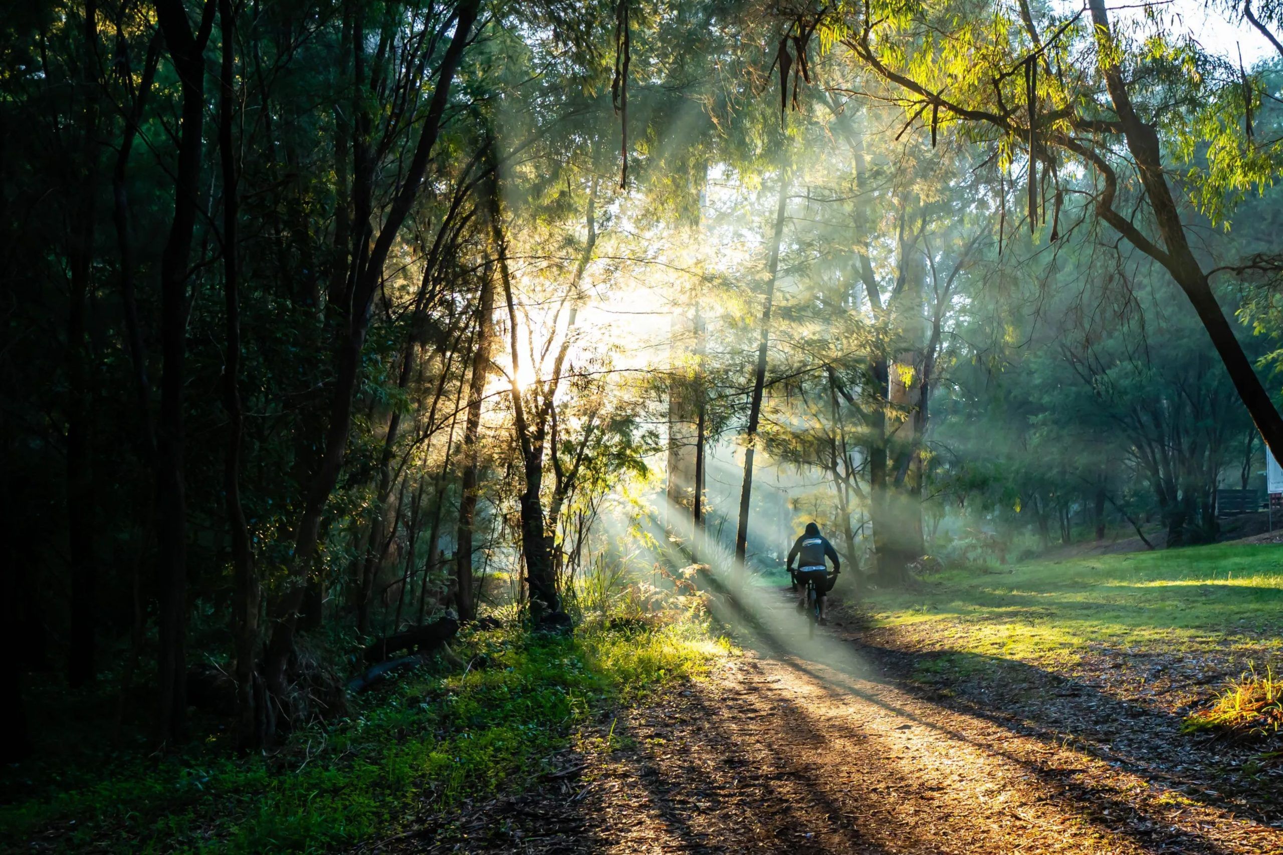 On Track Mountain Biking