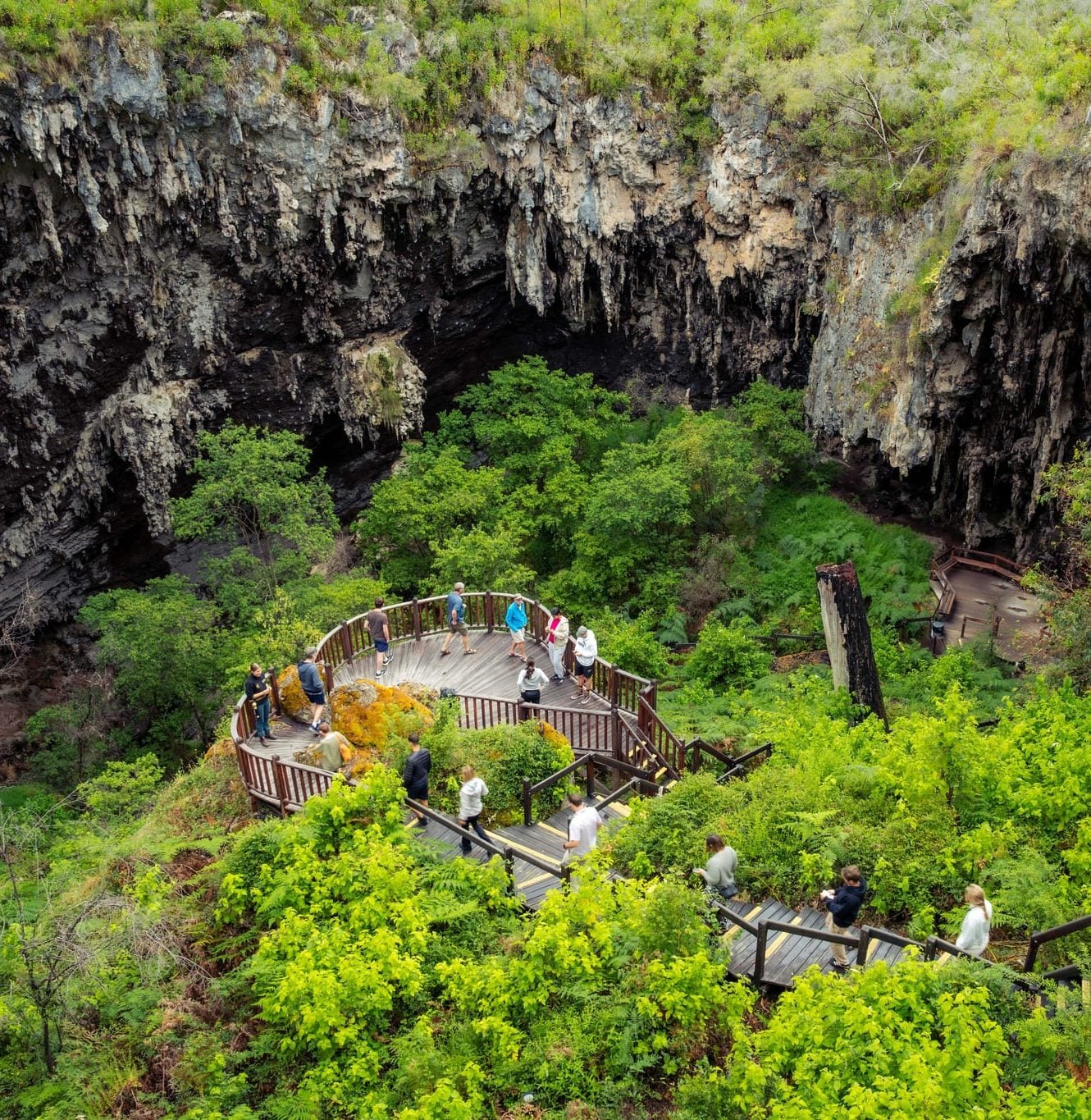 People walking down stairs into ancient sinkhole at Lake Cave with many green trees growing from the sinkhole.