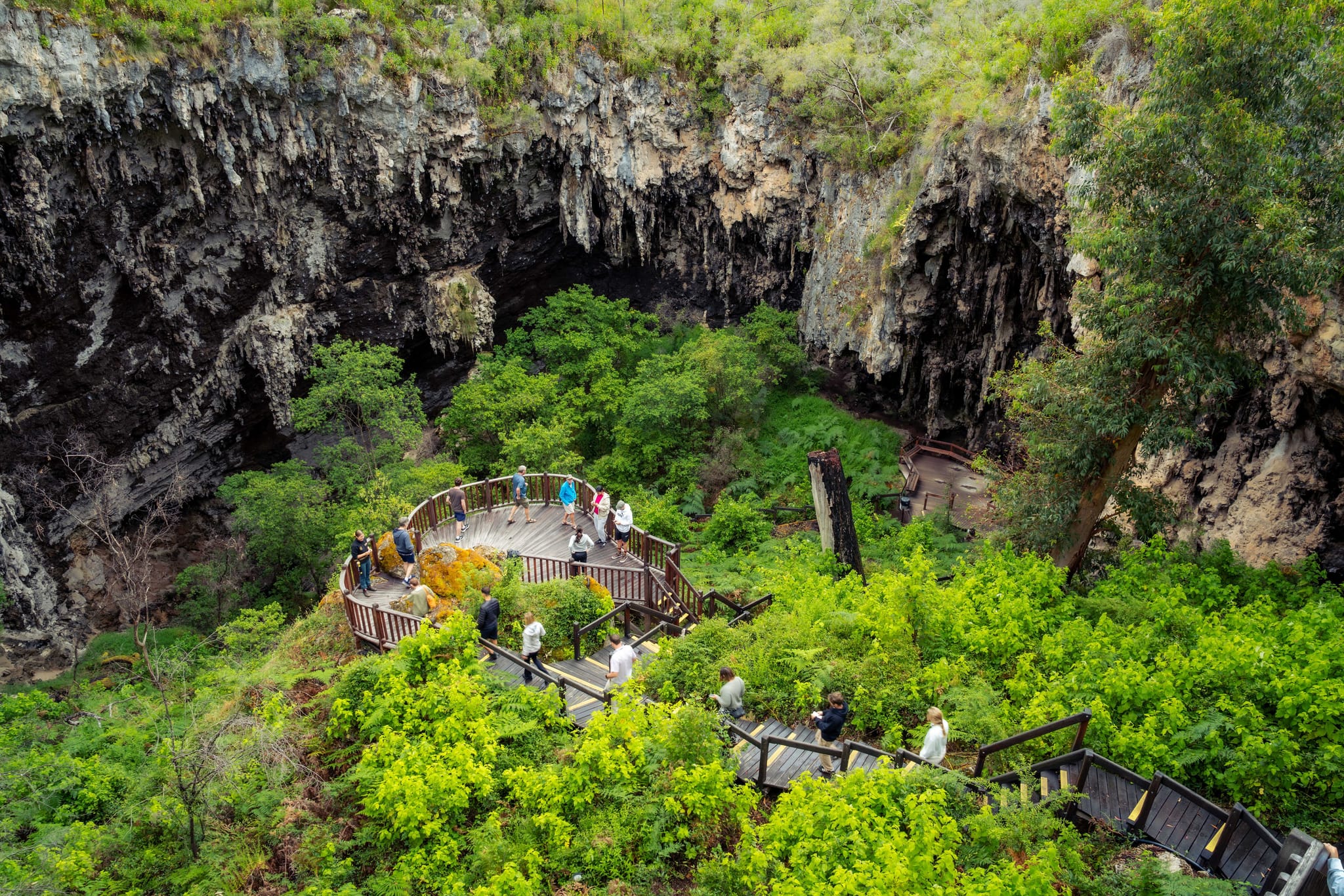 People walking down stairs into ancient sinkhole at Lake Cave with many green trees growing from the sinkhole.
