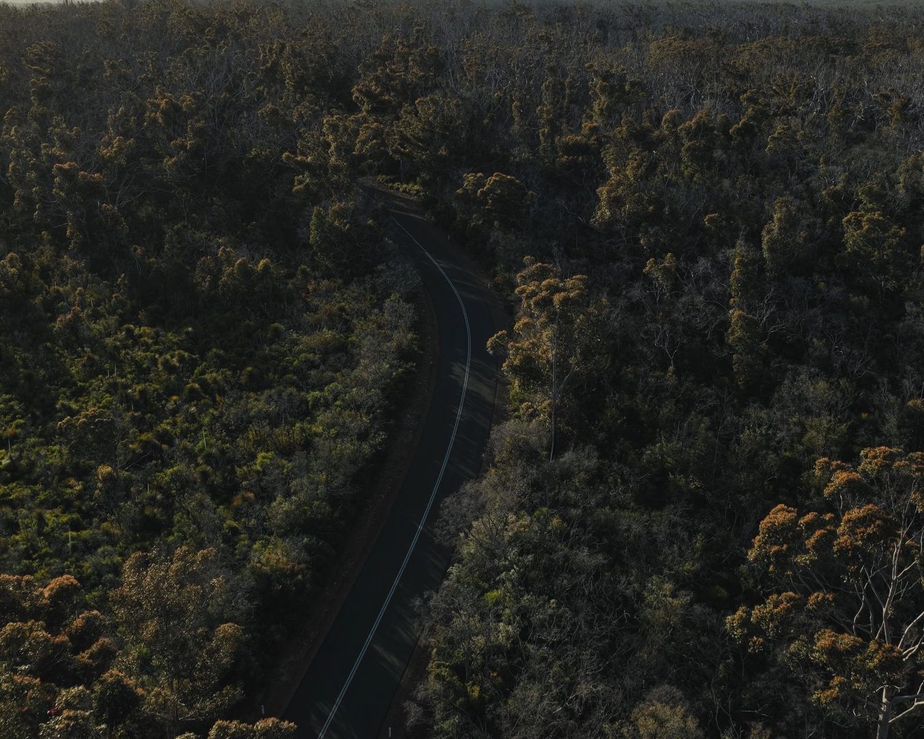Aerial photo of caves road near Lake Cave. Sun rising and warm glow.