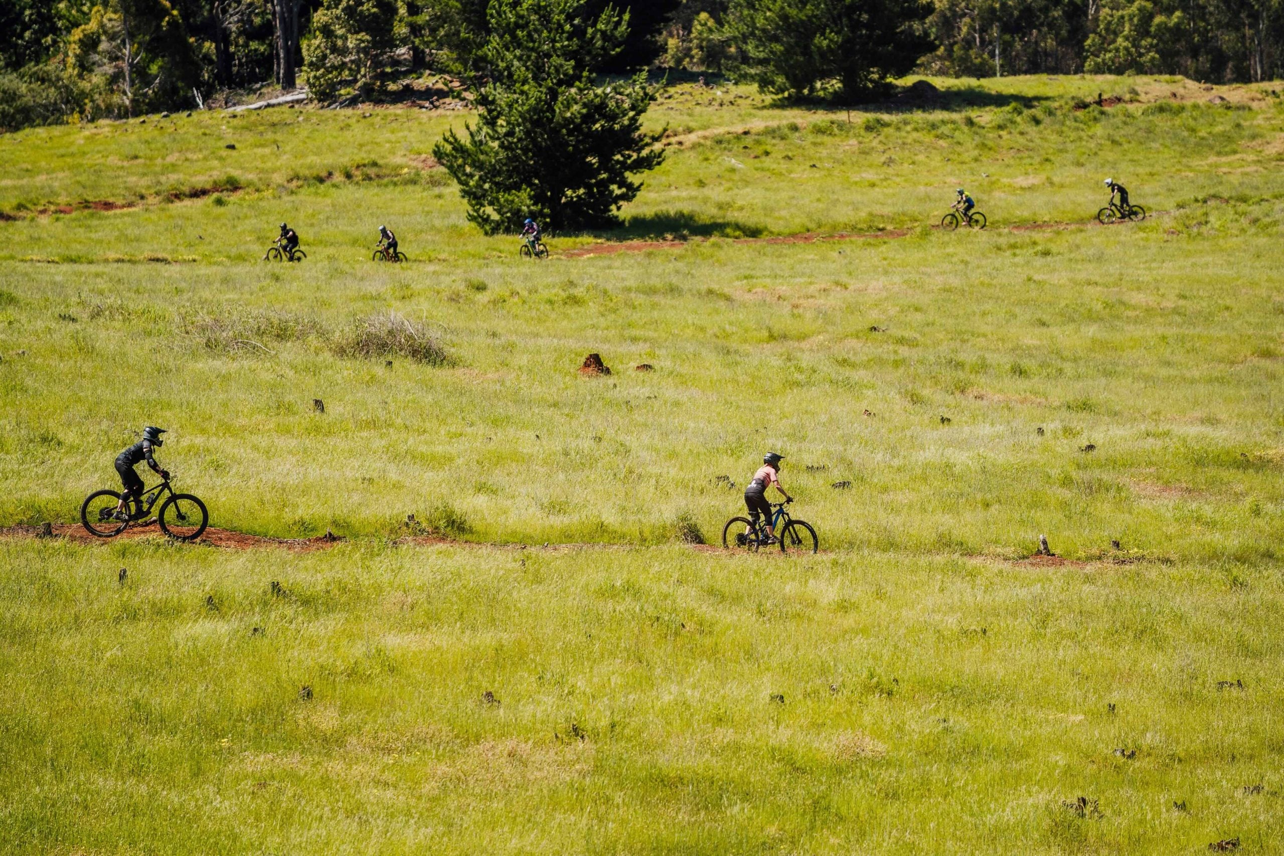 Several people riding bicycles across an open field