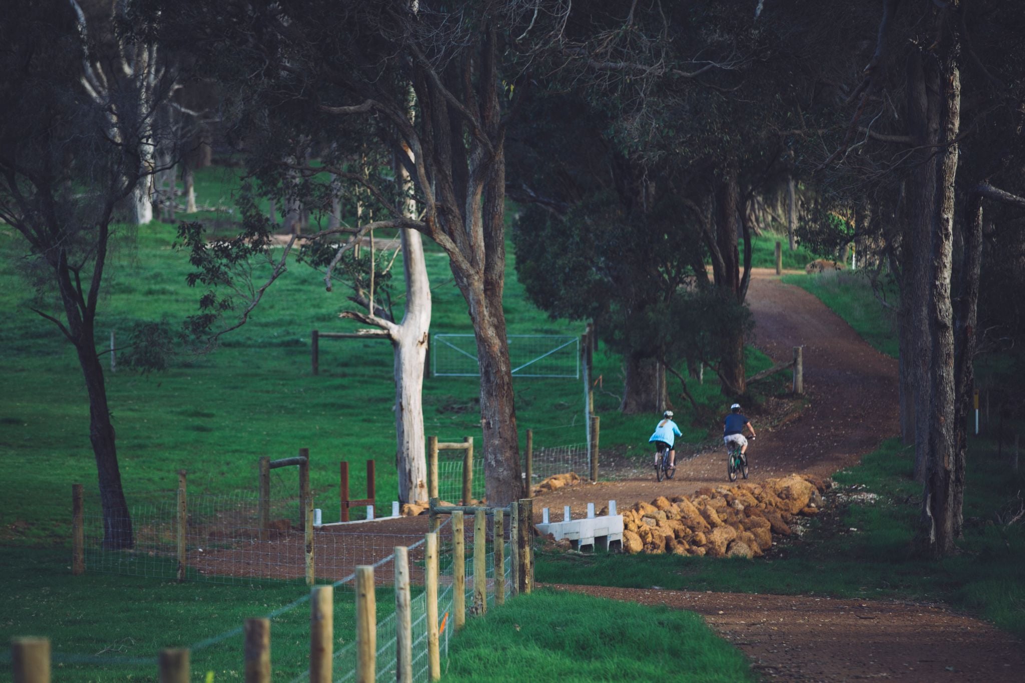 Two people riding bicycles along a gravel path that winds through a forest