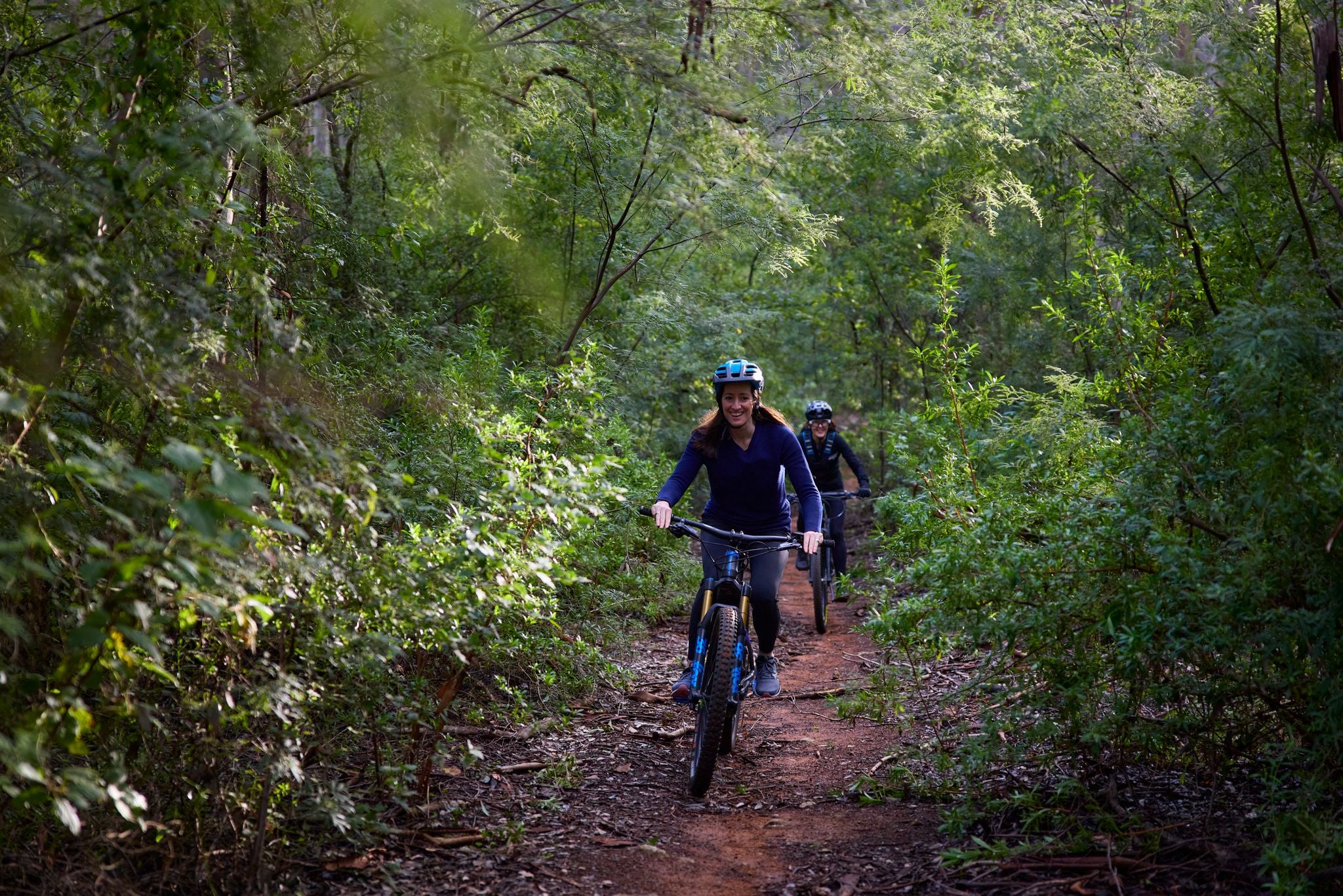People riding bikes through a forest