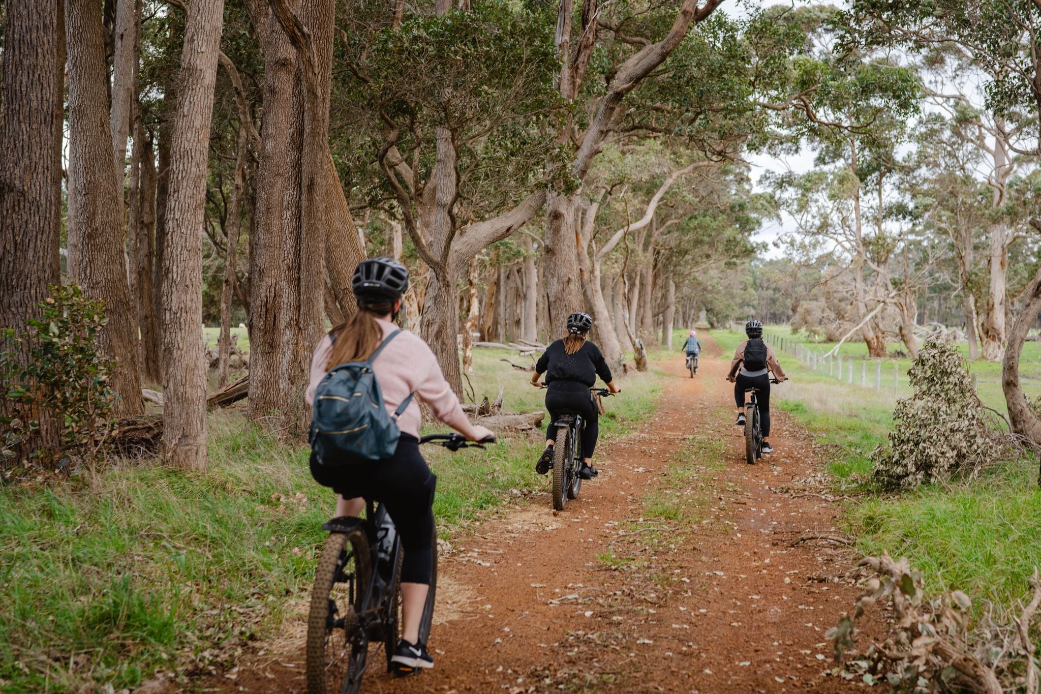 People riding bicycles along a gravel bath surrounded by trees.