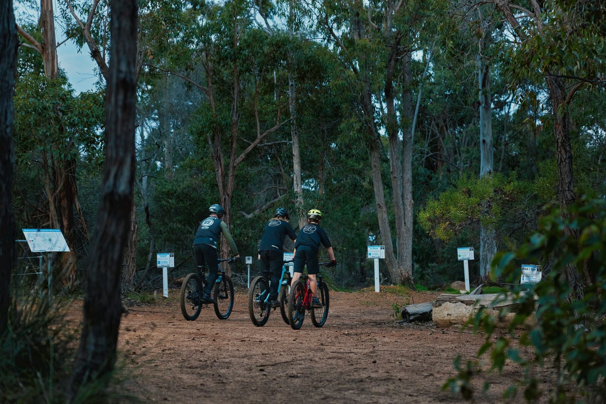 Three people riding bikes through the forest
